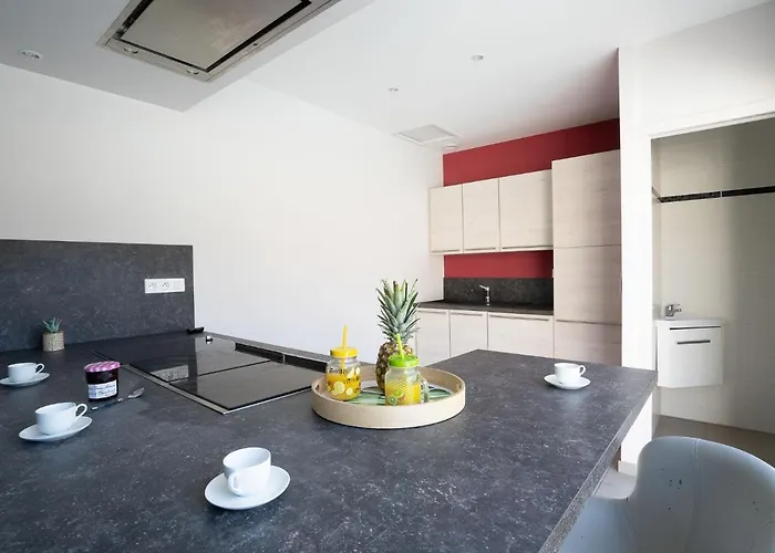 Vakantiehuis Du Littoral By Interhome *